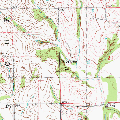 Topographic Map of Rice Family Cemetery, IL