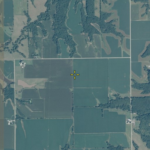 Aerial/Satellite Image of Robbins Landing Strip (historical), IL