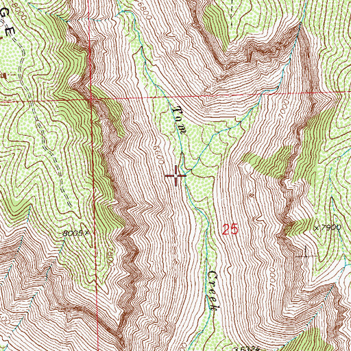 Topographic Map of Potts Creek, CO