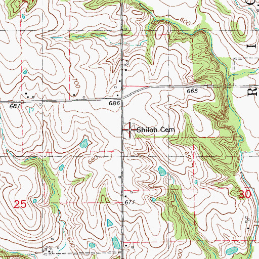 Topographic Map of Shiloh Cemetery, IL