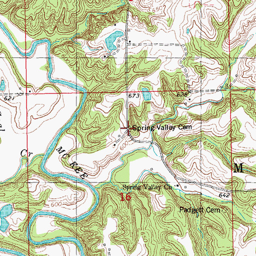 Topographic Map of Spring Valley Cemetery, IL