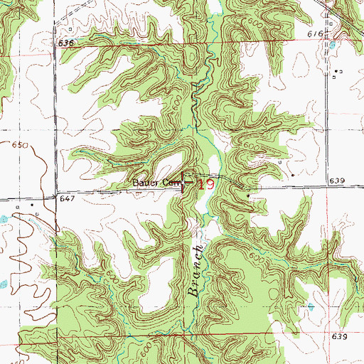 Topographic Map of Bauer Cemetery, IL