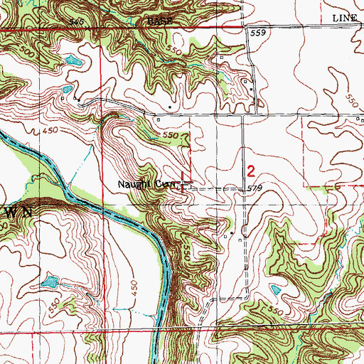 Topographic Map of Naught Cemetery, IL