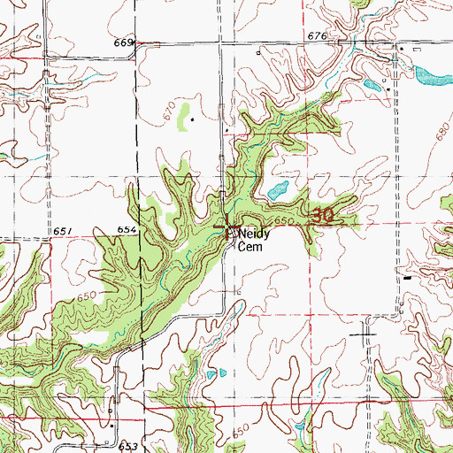 Topographic Map of Neidy Cemetery, IL