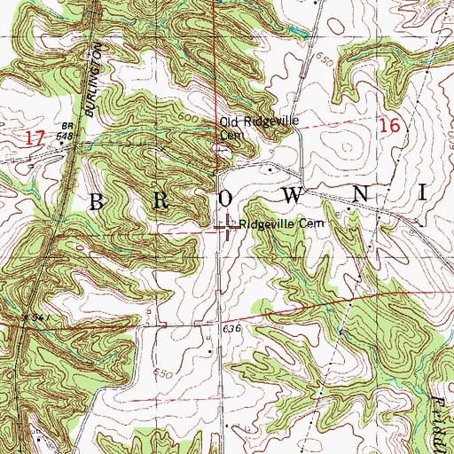 Topographic Map of New Ridgeville Cemetery, IL