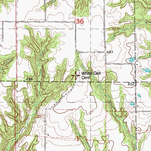 Topographic Map of White Oak Cemetery, IL