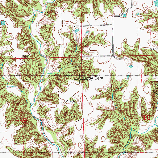Topographic Map of Dobey Cemetery, IL