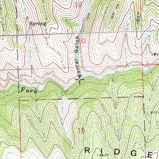 Topographic Map of Corral Gulch, CO