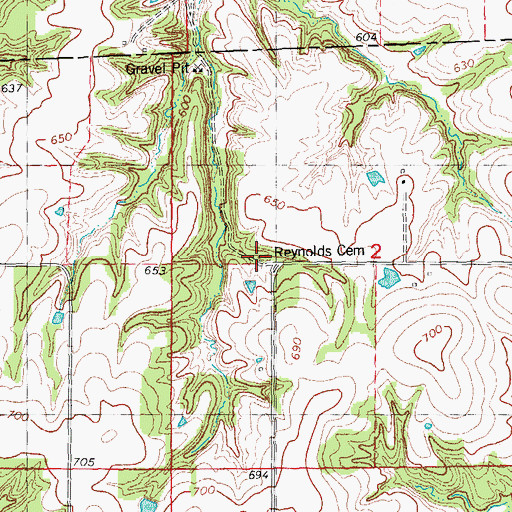 Topographic Map of Reynolds Cemetery, IL