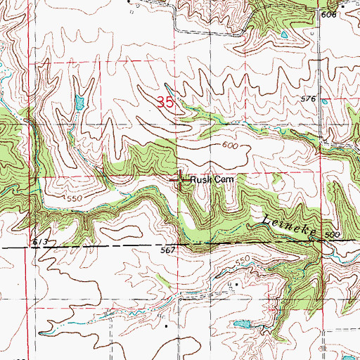 Topographic Map of Rusk Cemetery, IL