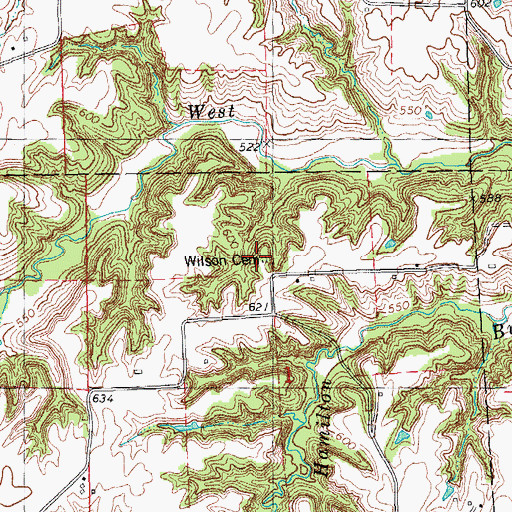 Topographic Map of Wilson Cemetery, IL