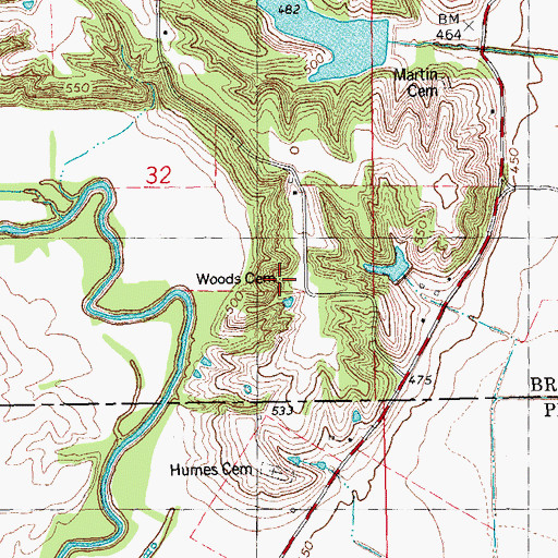 Topographic Map of Woods Cemetery, IL