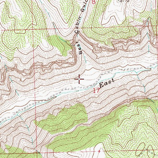 Topographic Map of Bear Cabin Gulch, CO