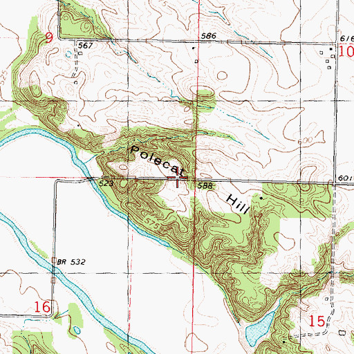 Topographic Map of Polecat Hill, IL