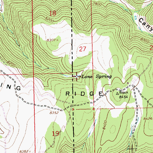 Topographic Map of Lone Spring, CO