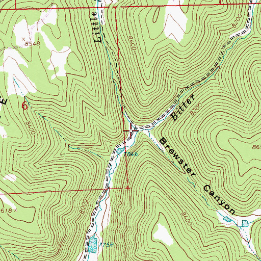 Topographic Map of Little Water, CO