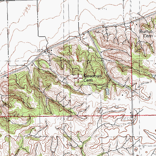 Topographic Map of Newman Cemetery, IL