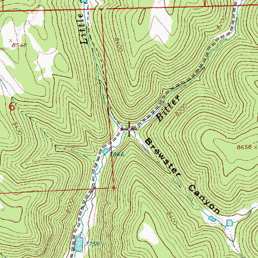 Topographic Map of Brewster Canyon, CO
