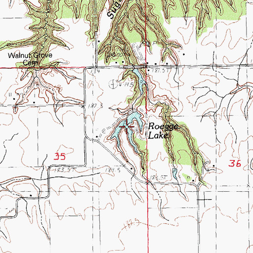 Topographic Map of Roegge Lake, IL
