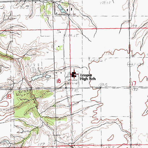 Topographic Map of Triopia Junior-Senior High School, IL