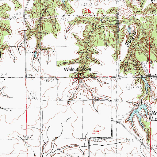 Topographic Map of Walnut Grove Cemetery, IL