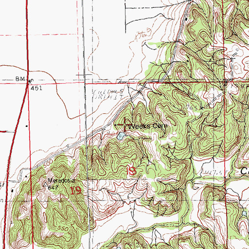 Topographic Map of Weeks Cemetery, IL