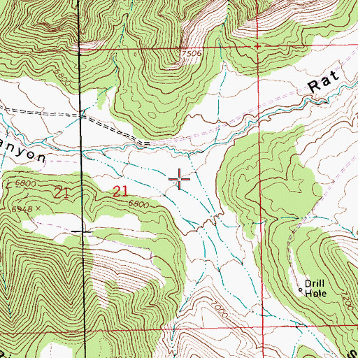 Topographic Map of South Rat Hole Canyon, UT