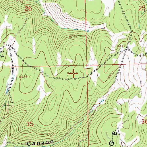 Topographic Map of Lone Spring Ridge, CO