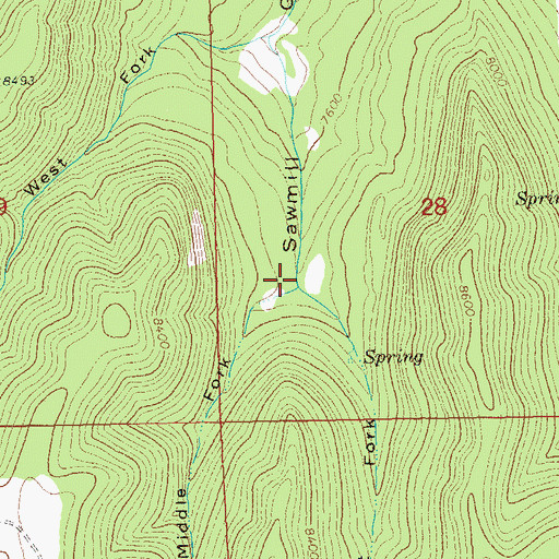 Topographic Map of Middle Fork Sawmill Gulch, CO