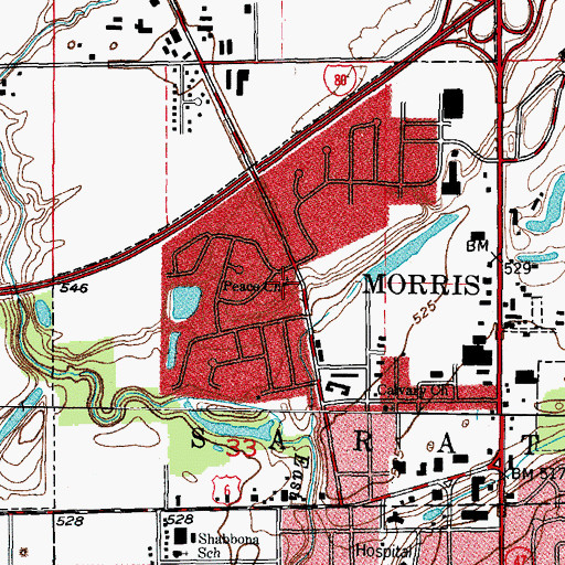 Topographic Map of Peace Lutheran Church, IL