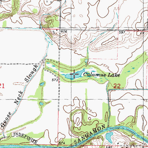 Topographic Map of Calamus Lake, IL