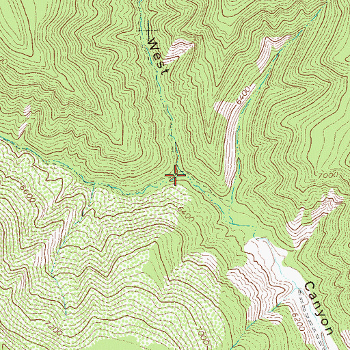 Topographic Map of West Fork West Canyon, CO