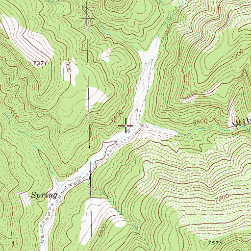 Topographic Map of Wild Cow Canyon, CO