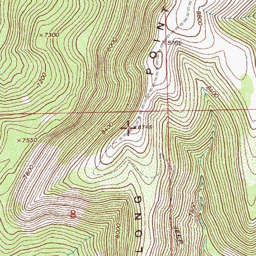 Topographic Map of Long Point, CO