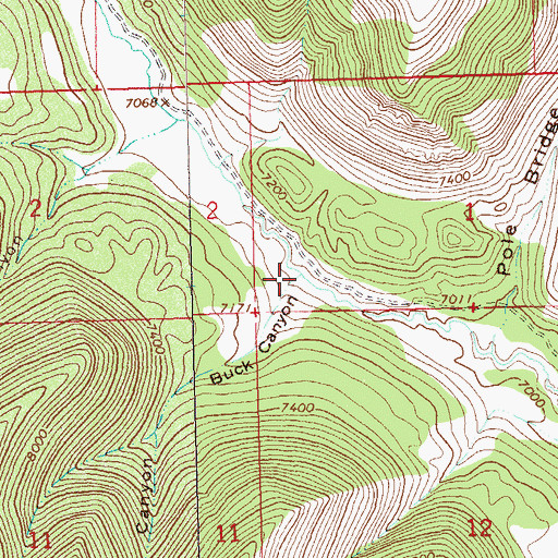 Topographic Map of Buck Canyon, CO