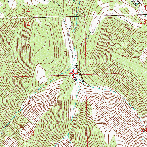 Topographic Map of Williams Park, CO