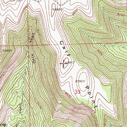 Topographic Map of Calf Point, CO