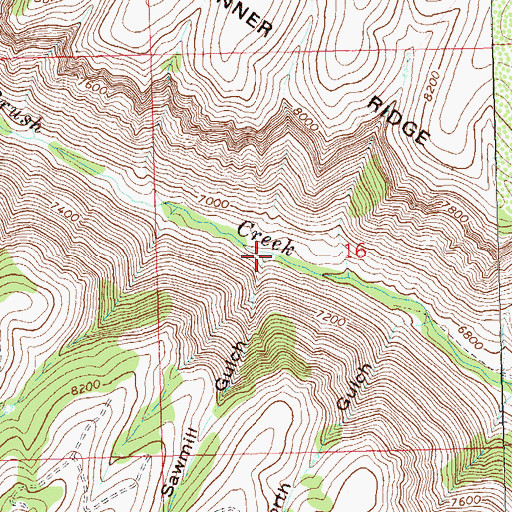 Topographic Map of Sawmill Gulch, CO