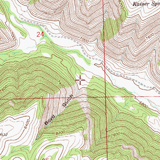 Topographic Map of Boyd Gulch, CO