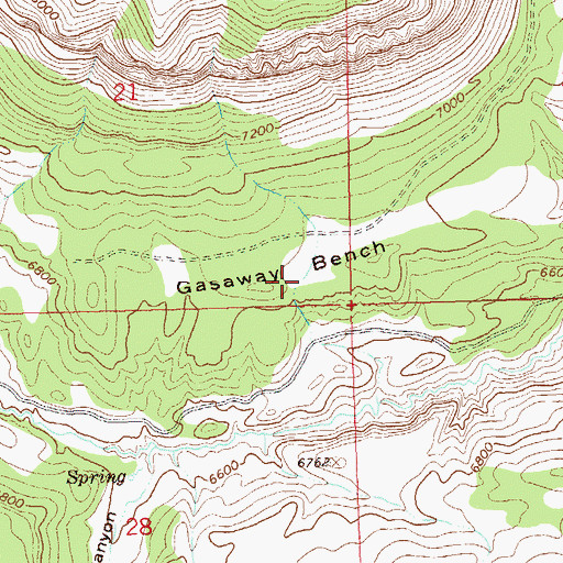 Topographic Map of Gasaway Bench, CO