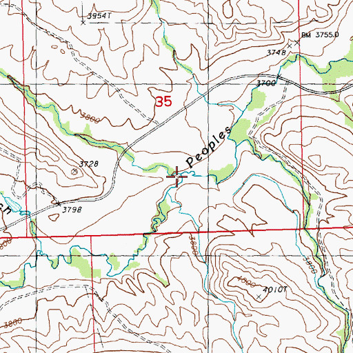 Topographic Map of Gold Creek, MT