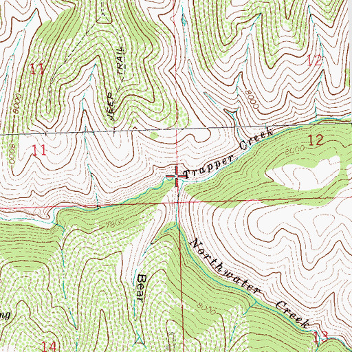 Topographic Map of Trapper Creek, CO