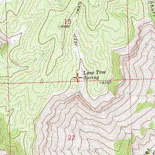 Topographic Map of Lone Tree Spring, CO