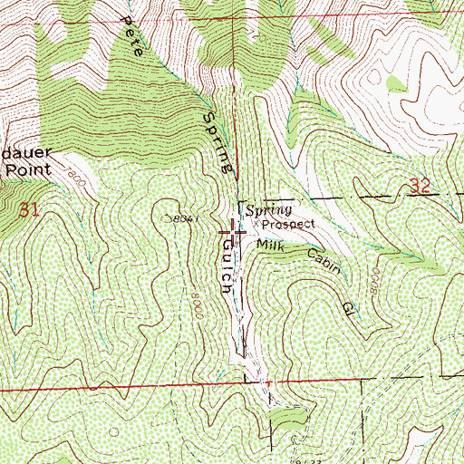 Topographic Map of Milk Cabin Gulch, CO