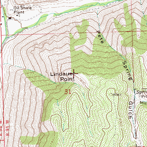 Topographic Map of Lindauer Point, CO