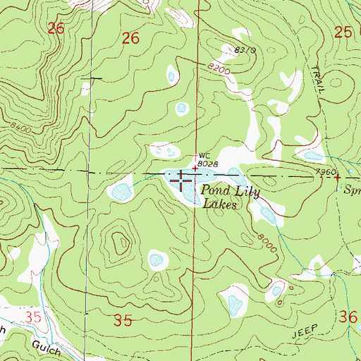 Topographic Map of Pond Lily Lakes, CO