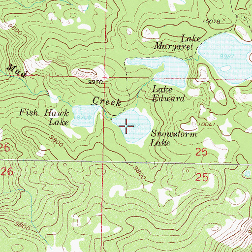 Topographic Map of Snowstorm Lake, CO