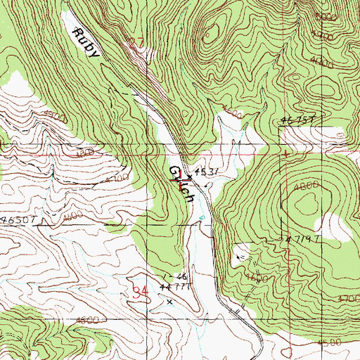 Topographic Map of Ruby Gulch (historical), MT