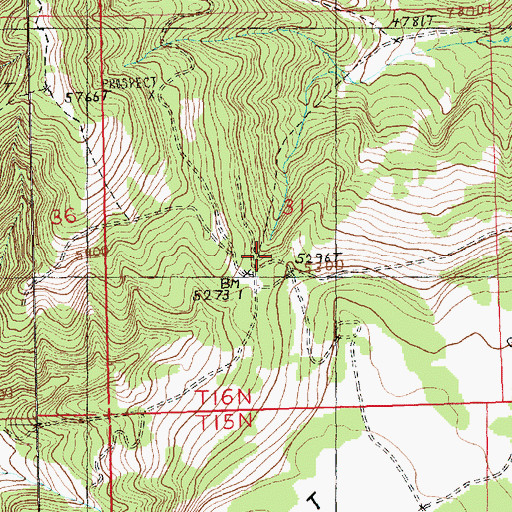Topographic Map of Nelson (historical), MT