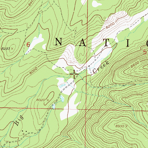 Topographic Map of Roaring Fork Creek, CO